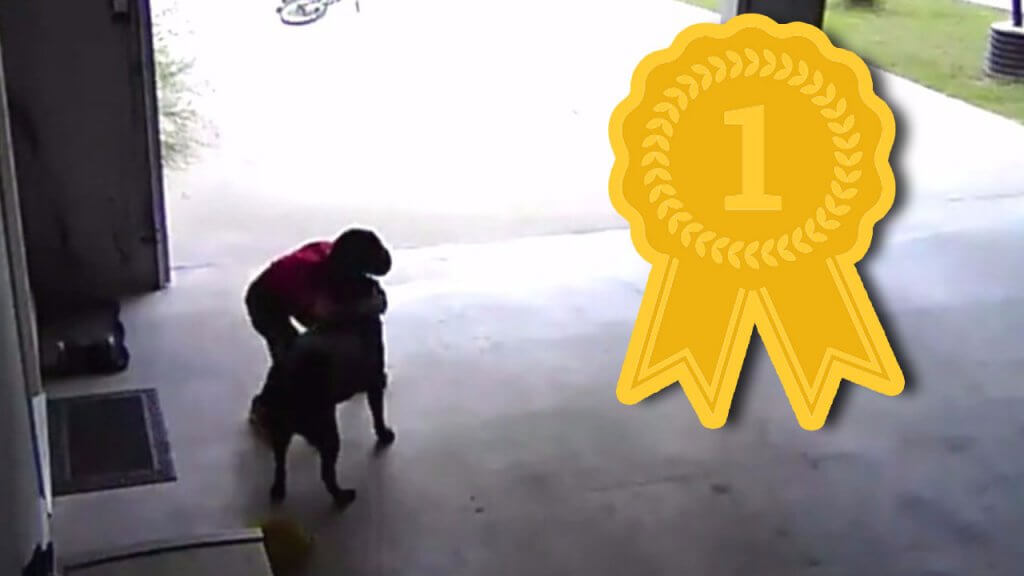 the greatest viral video
